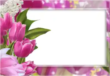 श्रेणी से फ़ोटो प्रभाव महिलाओं के फोटो फ्रेम № 196363