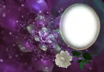 श्रेणी से फ़ोटो प्रभाव महिलाओं के फोटो फ्रेम № 196418