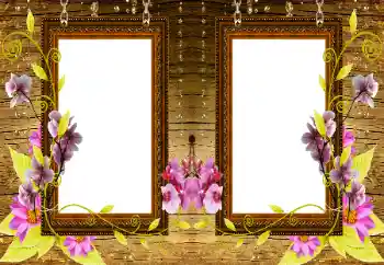 श्रेणी से फ़ोटो प्रभाव महिलाओं के फोटो फ्रेम № 196477