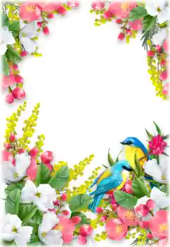 श्रेणी से फ़ोटो प्रभाव महिलाओं के फोटो फ्रेम № 196504