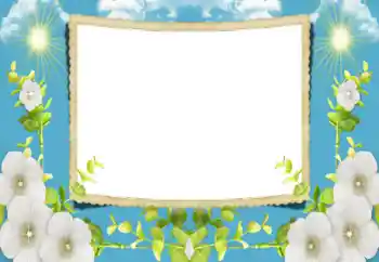 श्रेणी से फ़ोटो प्रभाव महिलाओं के फोटो फ्रेम № 196590