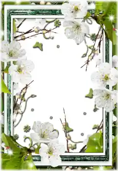 श्रेणी से फ़ोटो प्रभाव महिलाओं के फोटो फ्रेम № 196595