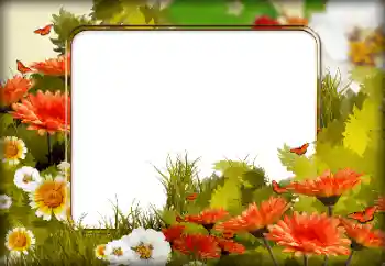 श्रेणी से फ़ोटो प्रभाव महिलाओं के फोटो फ्रेम № 196615