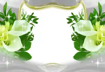 श्रेणी से फ़ोटो प्रभाव महिलाओं के फोटो फ्रेम № 197643