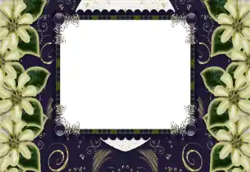 श्रेणी से फ़ोटो प्रभाव महिलाओं के फोटो फ्रेम № 197644