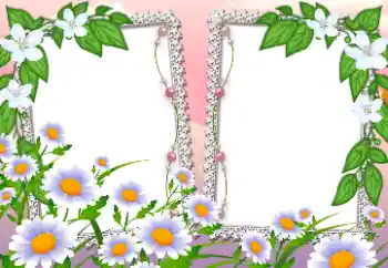 श्रेणी से फ़ोटो प्रभाव महिलाओं के फोटो फ्रेम № 198785