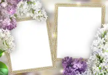 श्रेणी से फ़ोटो प्रभाव महिलाओं के फोटो फ्रेम № 198787