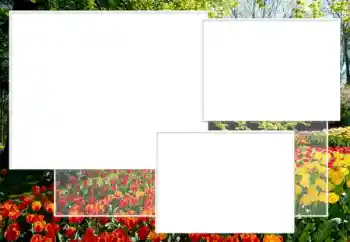 श्रेणी से फ़ोटो प्रभाव महिलाओं के फोटो फ्रेम № 198891