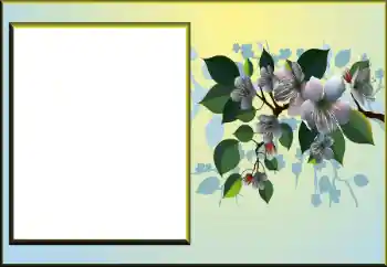 श्रेणी से फ़ोटो प्रभाव महिलाओं के फोटो फ्रेम № 198924