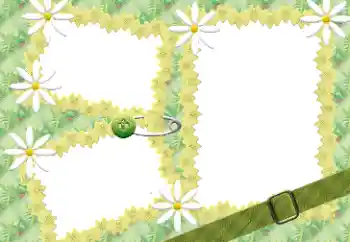 श्रेणी से फ़ोटो प्रभाव महिलाओं के फोटो फ्रेम № 198941