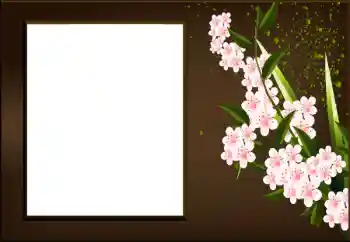 श्रेणी से फ़ोटो प्रभाव महिलाओं के फोटो फ्रेम № 198973