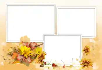 श्रेणी से फ़ोटो प्रभाव महिलाओं के फोटो फ्रेम № 198975