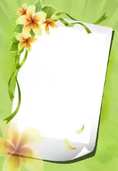 श्रेणी से फ़ोटो प्रभाव महिलाओं के फोटो फ्रेम № 199012