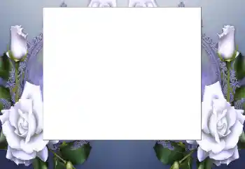 श्रेणी से फ़ोटो प्रभाव महिलाओं के फोटो फ्रेम № 199032