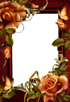 श्रेणी से फ़ोटो प्रभाव महिलाओं के फोटो फ्रेम № 203259