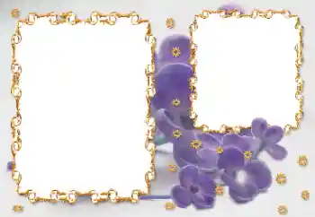 श्रेणी से फ़ोटो प्रभाव महिलाओं के फोटो फ्रेम № 203262