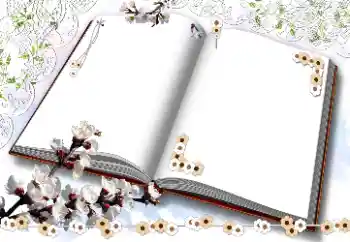 श्रेणी से फ़ोटो प्रभाव महिलाओं के फोटो फ्रेम № 203311