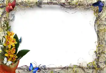 श्रेणी से फ़ोटो प्रभाव महिलाओं के फोटो फ्रेम № 205374