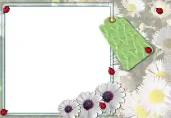 श्रेणी से फ़ोटो प्रभाव महिलाओं के फोटो फ्रेम № 205379