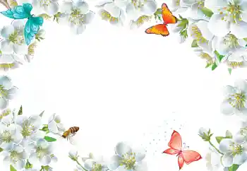 श्रेणी से फ़ोटो प्रभाव महिलाओं के फोटो फ्रेम № 205423