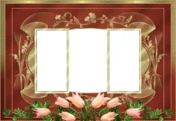 श्रेणी से फ़ोटो प्रभाव महिलाओं के फोटो फ्रेम № 205525