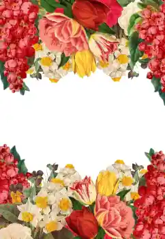 श्रेणी से फ़ोटो प्रभाव महिलाओं के फोटो फ्रेम № 205744