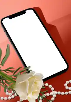 श्रेणी से फ़ोटो प्रभाव महिलाओं के फोटो फ्रेम № 205752