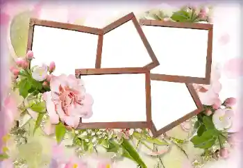 श्रेणी से फ़ोटो प्रभाव महिलाओं के फोटो फ्रेम № 205762