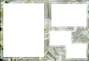 श्रेणी से फ़ोटो प्रभाव महिलाओं के फोटो फ्रेम № 205789