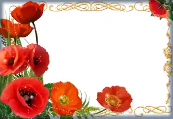 श्रेणी से फ़ोटो प्रभाव महिलाओं के फोटो फ्रेम № 205838