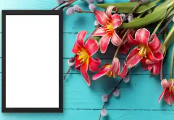 श्रेणी से फ़ोटो प्रभाव महिलाओं के फोटो फ्रेम № 206174