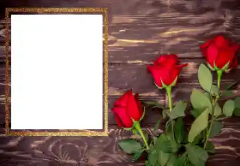 श्रेणी से फ़ोटो प्रभाव महिलाओं के फोटो फ्रेम № 206175