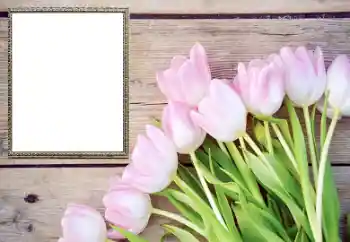 श्रेणी से फ़ोटो प्रभाव महिलाओं के फोटो फ्रेम № 206178