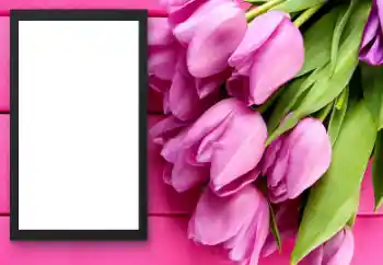 श्रेणी से फ़ोटो प्रभाव महिलाओं के फोटो फ्रेम № 206179