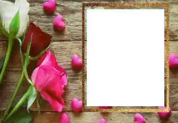 श्रेणी से फ़ोटो प्रभाव महिलाओं के फोटो फ्रेम № 206183