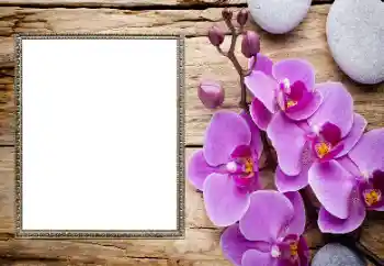 श्रेणी से फ़ोटो प्रभाव महिलाओं के फोटो फ्रेम № 206185