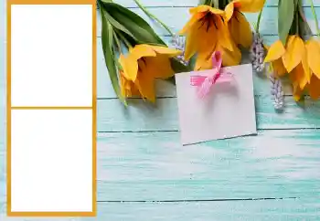 श्रेणी से फ़ोटो प्रभाव महिलाओं के फोटो फ्रेम № 206196