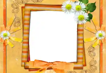 श्रेणी से फ़ोटो प्रभाव महिलाओं के फोटो फ्रेम № 36135