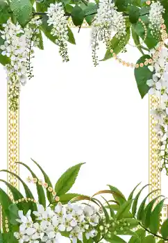 श्रेणी से फ़ोटो प्रभाव महिलाओं के फोटो फ्रेम № 40343