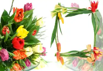 श्रेणी से फ़ोटो प्रभाव महिलाओं के फोटो फ्रेम № 40387