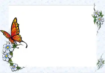 श्रेणी से फ़ोटो प्रभाव महिलाओं के फोटो फ्रेम № 42548