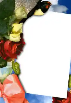 श्रेणी से फ़ोटो प्रभाव महिलाओं के फोटो फ्रेम № 42754