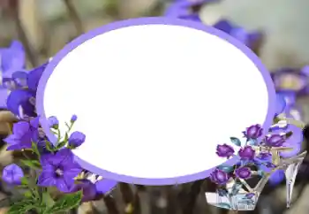 श्रेणी से फ़ोटो प्रभाव महिलाओं के फोटो फ्रेम № 43545