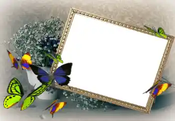 श्रेणी से फ़ोटो प्रभाव महिलाओं के फोटो फ्रेम № 43592