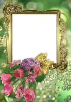 श्रेणी से फ़ोटो प्रभाव महिलाओं के फोटो फ्रेम № 43605