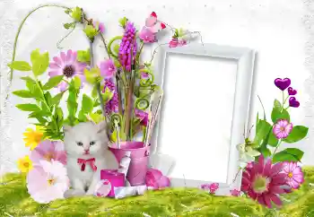 श्रेणी से फ़ोटो प्रभाव महिलाओं के फोटो फ्रेम № 45889