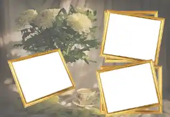 श्रेणी से फ़ोटो प्रभाव महिलाओं के फोटो फ्रेम № 45921