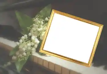 श्रेणी से फ़ोटो प्रभाव महिलाओं के फोटो फ्रेम № 45929