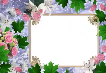 श्रेणी से फ़ोटो प्रभाव महिलाओं के फोटो फ्रेम № 47030