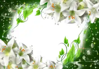 श्रेणी से फ़ोटो प्रभाव महिलाओं के फोटो फ्रेम № 47175